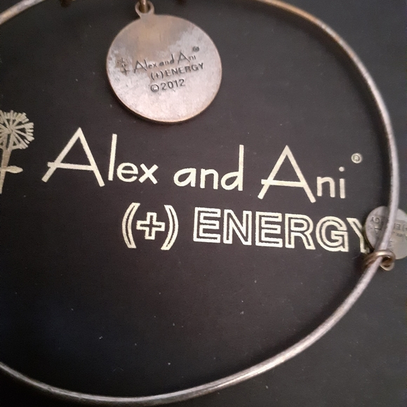 🍀Alex and Ani calligraphy bracelet - Picture 3 of 3